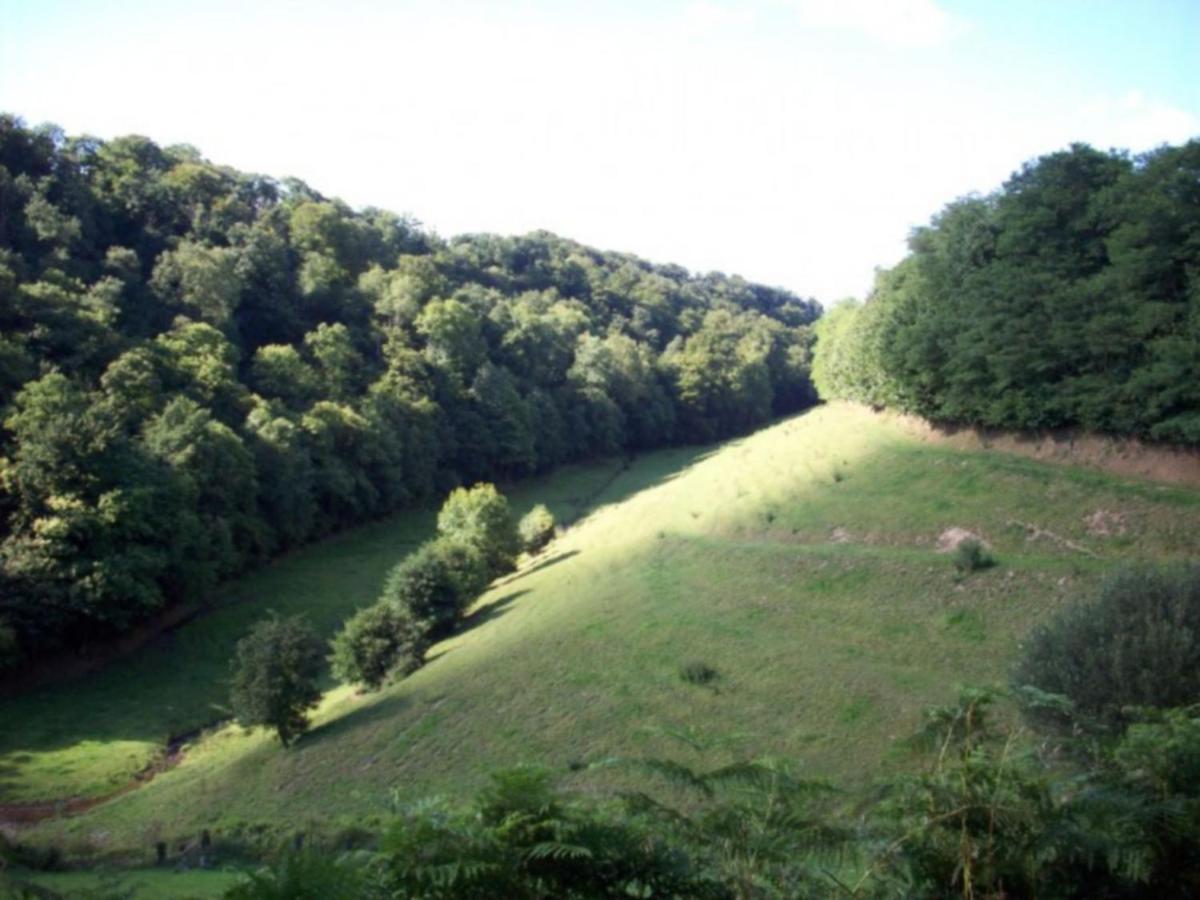 Cosy Chalet With Private Garden In Normandy Isigny-le-Buat Kamer foto